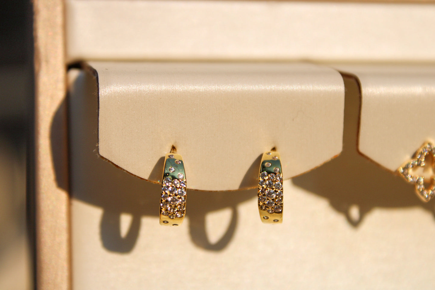 Demi Hoops